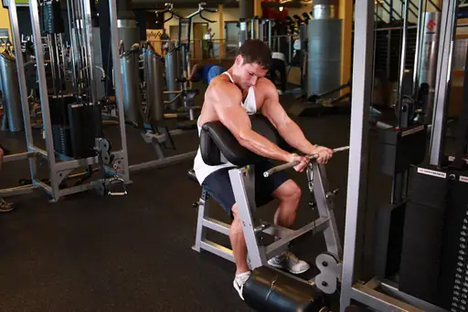 Cable Preacher Curl
