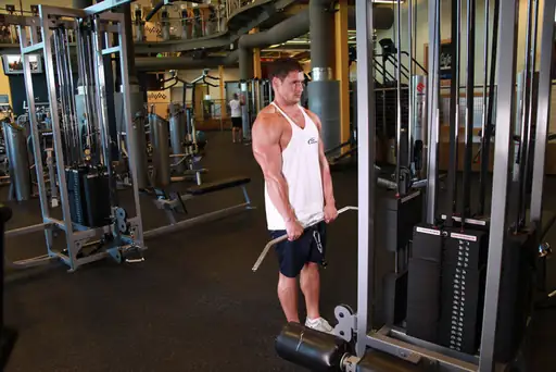 Cable Shrugs