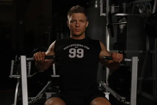 Leverage Chest Press