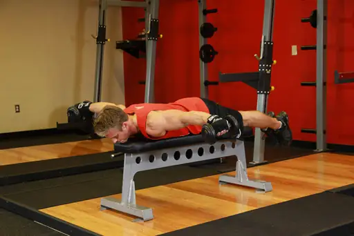 Lying Rear Delt Raise