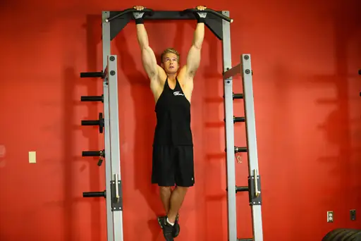 Rocky Pull-Ups/Pulldowns