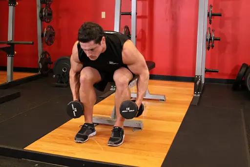 Seated Bent-Over Rear Delt Raise
