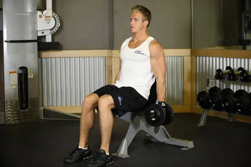 Seated Dumbbell Curl