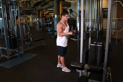 Triceps Pushdown